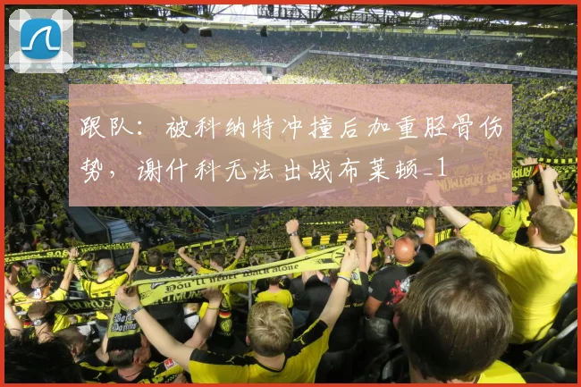 跟队：被科纳特冲撞后加重胫骨伤势，谢什科无法出战布莱顿_1